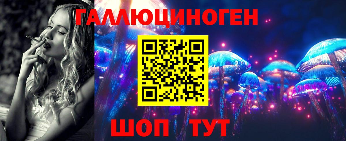 Муравленко  Псилоцибиновые грибы прущие грибы  Вход с VPN 